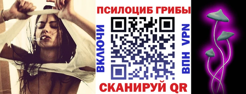 Купить закладки  Опочка  Псилоцибиновые грибы Cubensis 